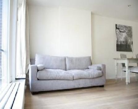  hotel in amsterdam - apartment rental in amsterdam - rental apartment in amsterdam - holiday apartment rental - in amsterdam - short term apartment rental amsterdam - amsterdam vacation rental - vacation renta luxurious little prince apartment  476 ams